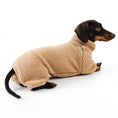 Load image into Gallery viewer, Teddy Jumper for Dachshund