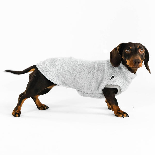 Dackel Teddy Shirt 2.0 in Light Gray