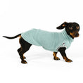 Load image into Gallery viewer, Dackel Teddy Shirt in Mint