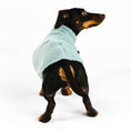 Load image into Gallery viewer, Hundepullover Teddy Mint