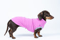 Load image into Gallery viewer, Dackel trägt Long Shirt in pink – weicher Stoff, optimaler Sitz für kühlere Tage