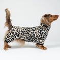 Load image into Gallery viewer, Fröhlicher Zwergdackel im Leoparden-Overall – stilvoller Hundeschutz für kalte Tage.