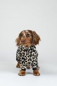 Load image into Gallery viewer, Zwergdackel im Leoparden-Overall im Studio – funktionaler Hundeeinteiler für Alltag und Spaziergang.