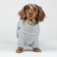 Load image into Gallery viewer, Dackel trägt flauschigen Teddy-Overall in Light Grey – warmer, kuscheliger Ganzkörperanzug für kleine Hunde.