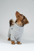 Load image into Gallery viewer, Fröhlicher Zwergdackel im Light-Grey-Teddy-Overall – wärmender, weicher Hundeoverall für Spaziergänge.