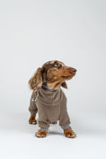 Load image into Gallery viewer, Fröhlicher Zwergdackel im Fleece-Overall in Walnut – wärmender Einteiler für Spaziergänge.