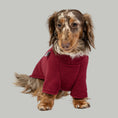 Load image into Gallery viewer, Dackel sitzt im bordeauxfarbenen Fleecepullover – komfortabler Pullover für kleine Hunde.