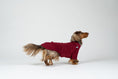 Load image into Gallery viewer, Dackel sitzt im bordeauxfarbenen Fleecepullover – komfortabler Pullover für kleine Hunde.