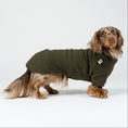 Load image into Gallery viewer, Dackel trägt dunkeloliven Fleece-Pullover – warmer, weicher Hundepullover im Studio.