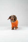 Load image into Gallery viewer, Fröhlicher Dackel im Orange-Fleecepullover – wärmende Hundebekleidung für kleine Hunde.