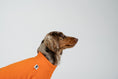 Load image into Gallery viewer, Dackelmodel präsentiert orangefarbenen Fleecepullover – ideal für Herbst und Winter.