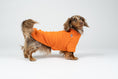 Load image into Gallery viewer, Dackel posiert im Orange-Fleecepullover – warme, komfortable Passform für Dackelproportionen.