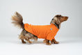 Load image into Gallery viewer, Dackel im kräftig orangefarbenen Fleece-Pullover – gemütlicher Hundesweater für Spaziergänge.