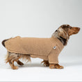 Load image into Gallery viewer, Dackel trägt kuscheligen Teddy-Pullover in Camel – weiche Wintermode für kleine Hunde.