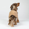 Load image into Gallery viewer, Zwergdackel im warmen Camel-Fleece-Teddy-Pullover – weicher, gemütlicher Hundepullover.
