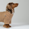 Load image into Gallery viewer, Langhaar-Dackel posiert im Teddy-Fleece-Pullover in Camel – komfortable, anschmiegsame Passform.