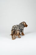 Load image into Gallery viewer, Stylischer Leoparden-Hundepullover für Dackel – komfortabler, leicht anziehbarer Hundesweater.