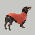 Load image into Gallery viewer, Terracottafarbener Dackelpullover – Sweat Shirt aus Baumwollfleece, ideal für kühle Tage