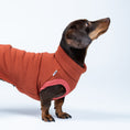 Load image into Gallery viewer, Dackel im Seitenprofil mit Sweat Shirt in Terracotta – angepasst an die typische Dackelform