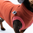 Load image into Gallery viewer, Nahaufnahme: Kragen, Naht und Material des Terracotta-Sweat Shirts für Dackel im Fokus