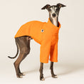 Load image into Gallery viewer, Italienisches Windspiel trägt Fleece-Pullover in Orange – handgemacht in Berlin