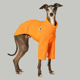 Load image into Gallery viewer, Italienisches Windspiel trägt Fleece-Pullover in Orange – handgemacht in Berlin