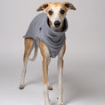 Load image into Gallery viewer, Minimalistischer Look: Whippet Rüde im hellgrauen Shirt – funktionale Kleidung für schlanke Hunderassen