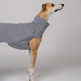 Load image into Gallery viewer, Junger Whippet Rüde im Long Shirt aus Fleece in Light Grey vor weißem Hintergrund – schlicht und stilvoll