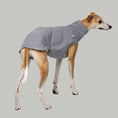 Load image into Gallery viewer, Whippet trägt windhundgerechtes Fleece-Shirt in Hellgrau – perfekt geschnitten für schmale Körper