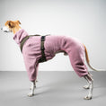 Load image into Gallery viewer, OVERALL Windhund Altrosa