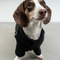 Load image into Gallery viewer, PULLOVER for dachshunds in black