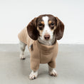 Load image into Gallery viewer, PULLOVER Dackel Camel