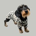 Load image into Gallery viewer, PULLOVER Dackel Leo