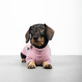 Load image into Gallery viewer, Polar fleece sweater for dachshund Mulberry