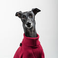 Load image into Gallery viewer, PULLOVER Iggy Weinrot