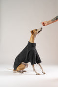 Load image into Gallery viewer, Whippet posiert im anthrazitfarbenen Karma Hund Fleece-Pullover – modernes Hunde-Outfit mit sportlicher Note.