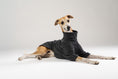 Load image into Gallery viewer, Edler Whippet im Fleece-Pullover in Anthrazit von Karma Hund – wärmende und stilvolle Hundebekleidung.