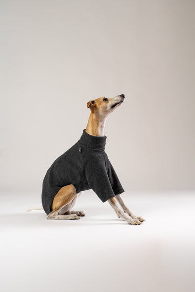 Whippet trägt anthrazitfarbenen Fleece-Pullover von Karma Hund – eleganter, warmer Hundepullover für kühle Tage.