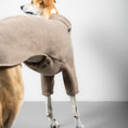 Load image into Gallery viewer, Polar Fleece Sweater for Whippets Vol. 2. Walnut