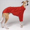 Load image into Gallery viewer, Junger Whippet Rüde trägt Fleece-Pullover in Terracotta – funktionale und stilvolle Kleidung für Windhunde
