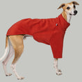 Load image into Gallery viewer, Junger Whippet Rüde trägt Fleece-Pullover in Terracotta – funktionale und stilvolle Kleidung für Windhunde