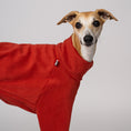 Load image into Gallery viewer, Fleecekleidung für Windhunde in Terracotta – eleganter Look für Whippets, Galgos & Co.
