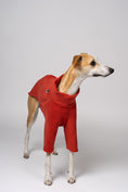 Load image into Gallery viewer, Terracottafarbener Pullover aus Polar Fleece – Whippet zeigt bequeme Windhundmode mit Stil