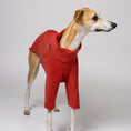 Load image into Gallery viewer, Terracottafarbener Pullover aus Polar Fleece – Whippet zeigt bequeme Windhundmode mit Stil