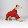 Load image into Gallery viewer, Whippet im Fleece-Pullover in Terracotta – körpernaher Schnitt für viel Bewegungsfreiheit