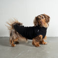 Load image into Gallery viewer, Fleece Shirt Dackel Schwarz – Hundepullover und Hundekleidung für Dackel und Windhunde – Seitenansicht am Hund