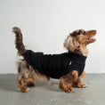 Load image into Gallery viewer, Fleece Shirt Dackel Schwarz – hochwertige Hundekleidung für Dackel, Windspiele und Windhunde von Karma Hund Berlin – Ganzkörperansicht am Hund