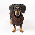 Load image into Gallery viewer, Fleece Shirt Dackel Espresso – hochwertige Hundekleidung für Dackel, Windspiele und Windhunde von Karma Hund Berlin – Frontansicht am Hund