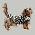 Load image into Gallery viewer, Fleece Shirt Dackel Leo – hochwertige Hundekleidung für Dackel, Windspiele und Windhunde von Karma Hund Berlin – Ganzkörperansicht am Hund