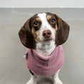 Load image into Gallery viewer, FLEECE SHIRT Dackel Mulberry